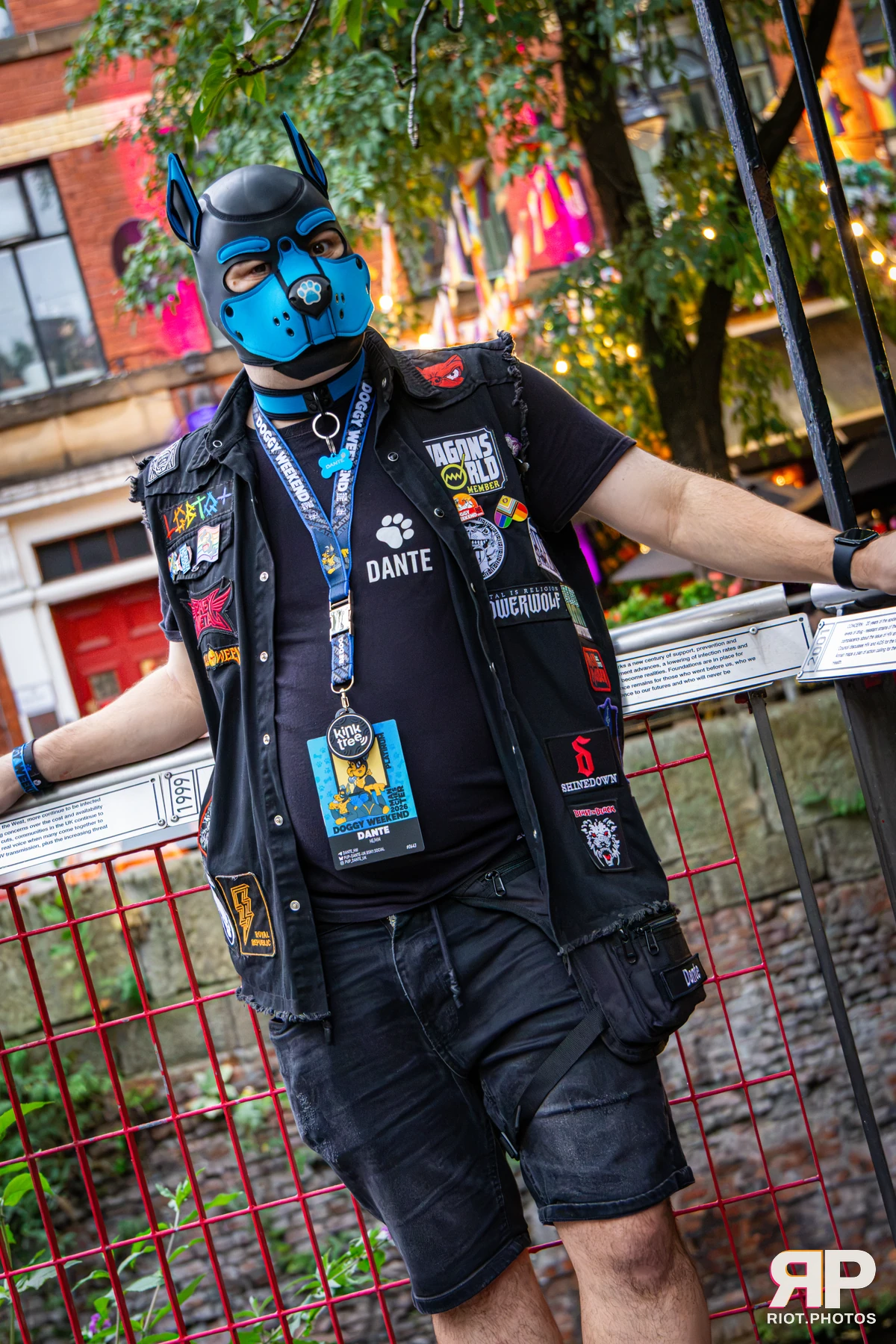 Dante - furry & pup photography by Fluffy Riot - photo 5