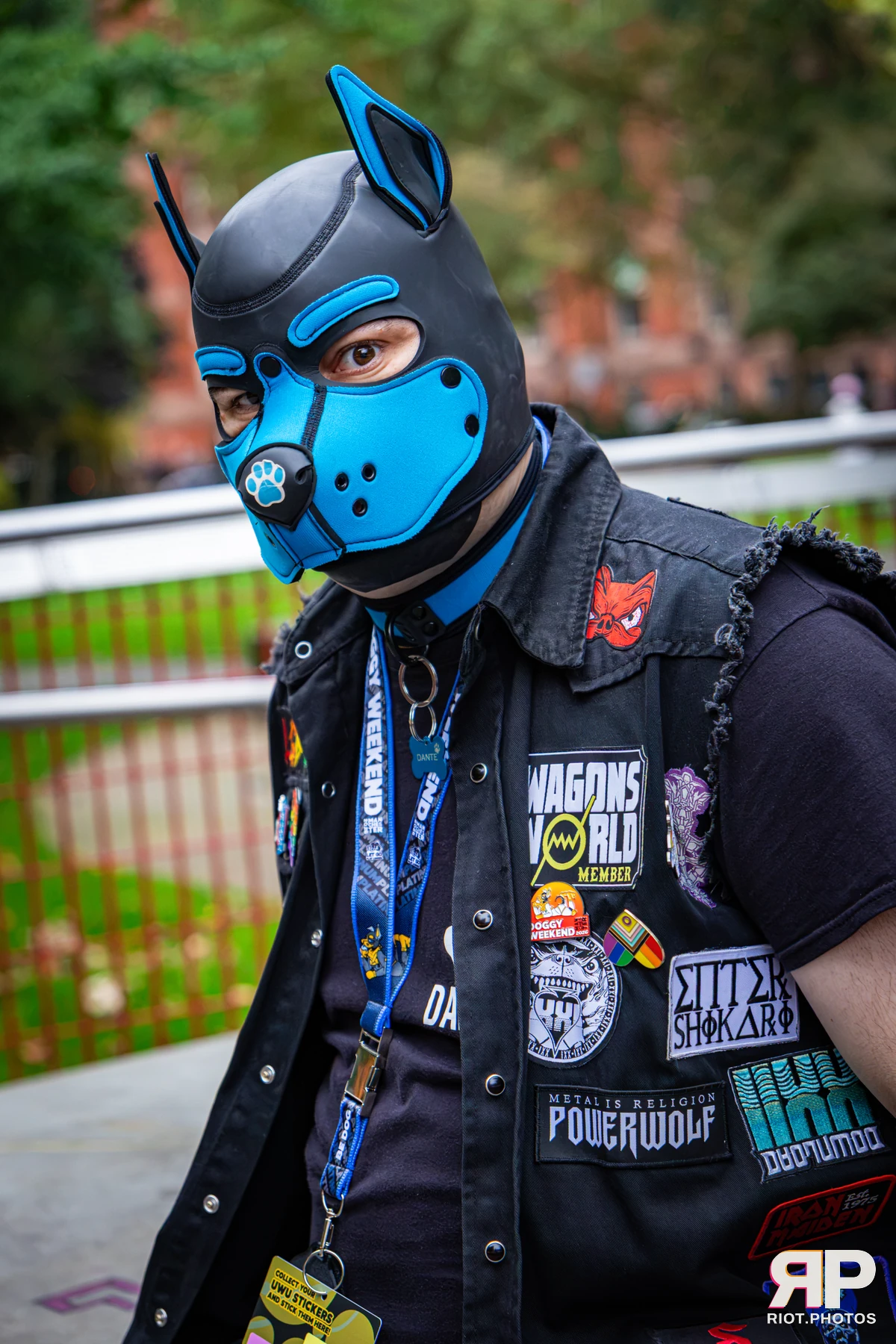Dante - furry & pup photography by Fluffy Riot - photo 3