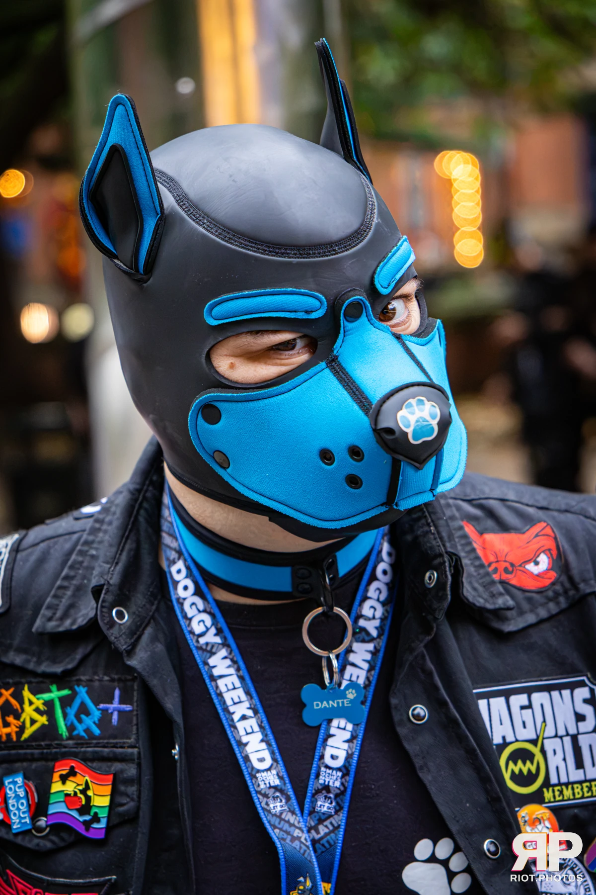 Dante - furry & pup photography by Fluffy Riot - photo 2