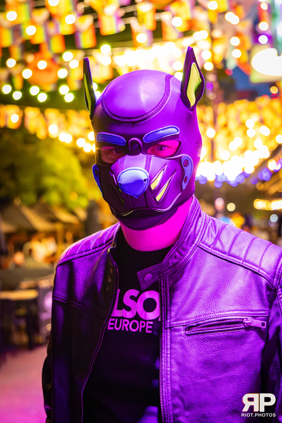 Digi - furry & pup photography by Fluffy Riot - photo 7