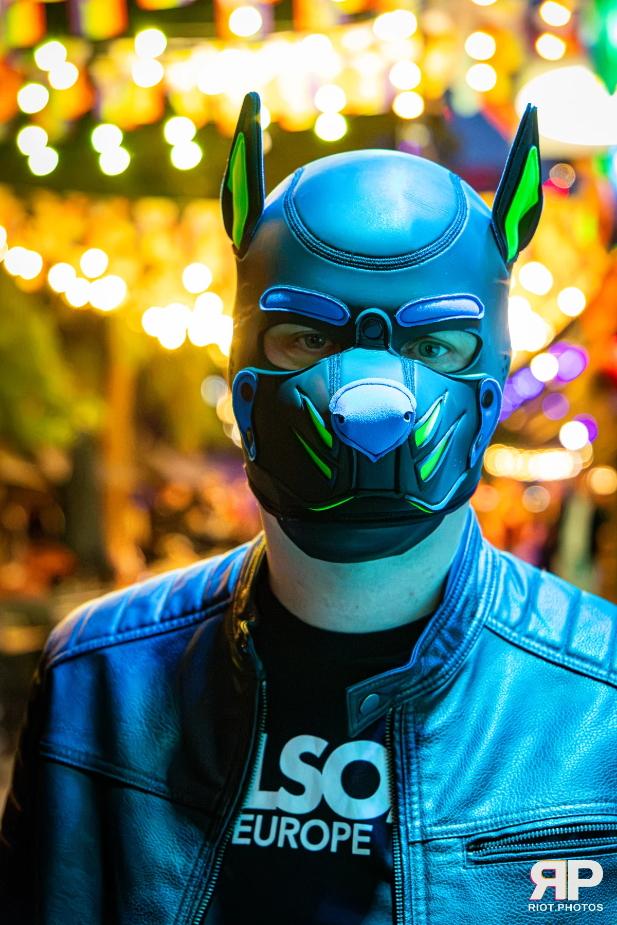 Digi - furry & pup photography by Fluffy Riot - photo 6