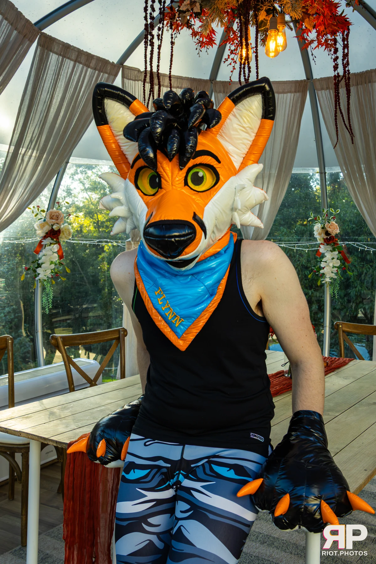 Flynn - furry & pup photography by Fluffy Riot - photo 9