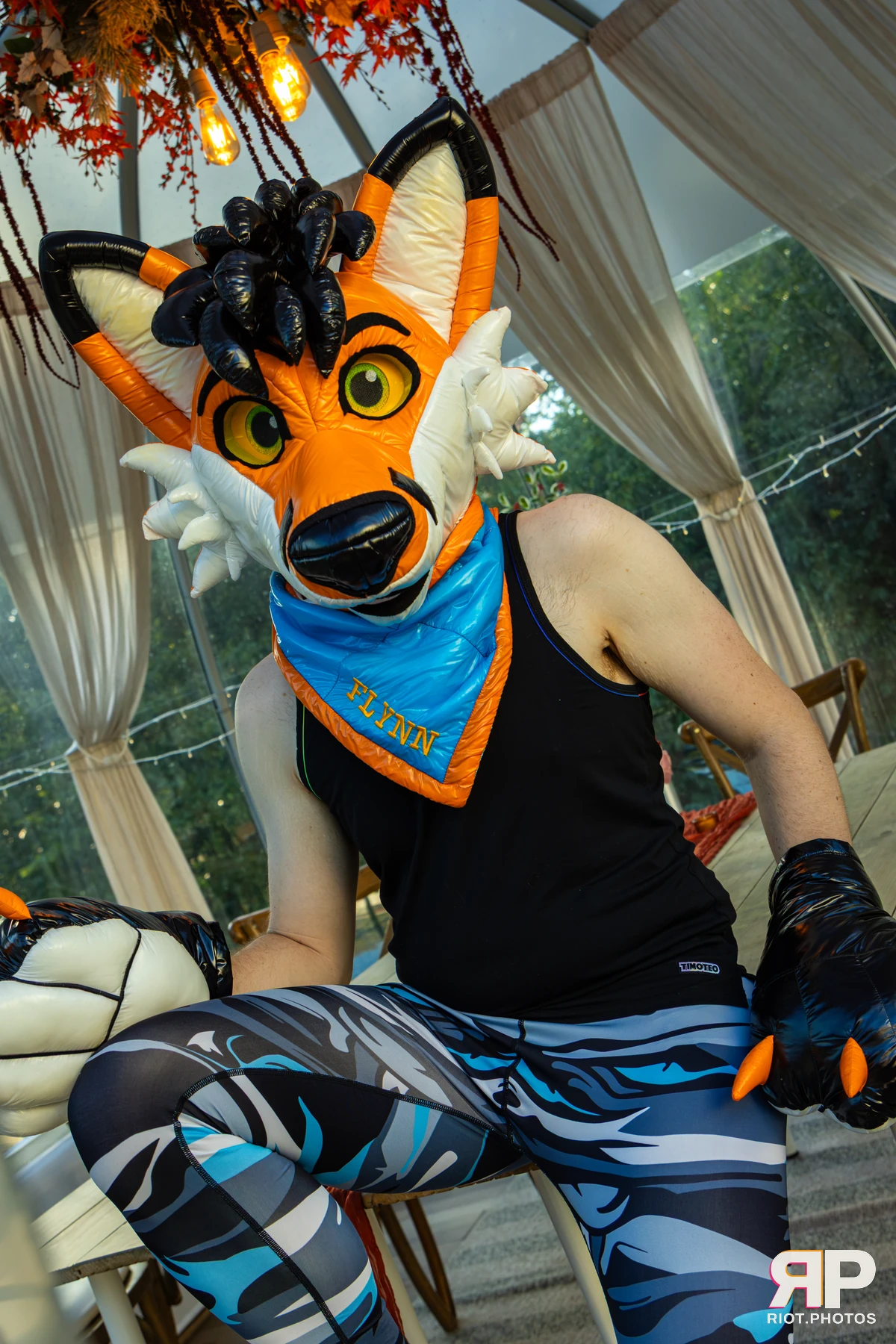 Flynn - furry & pup photography by Fluffy Riot - photo 8