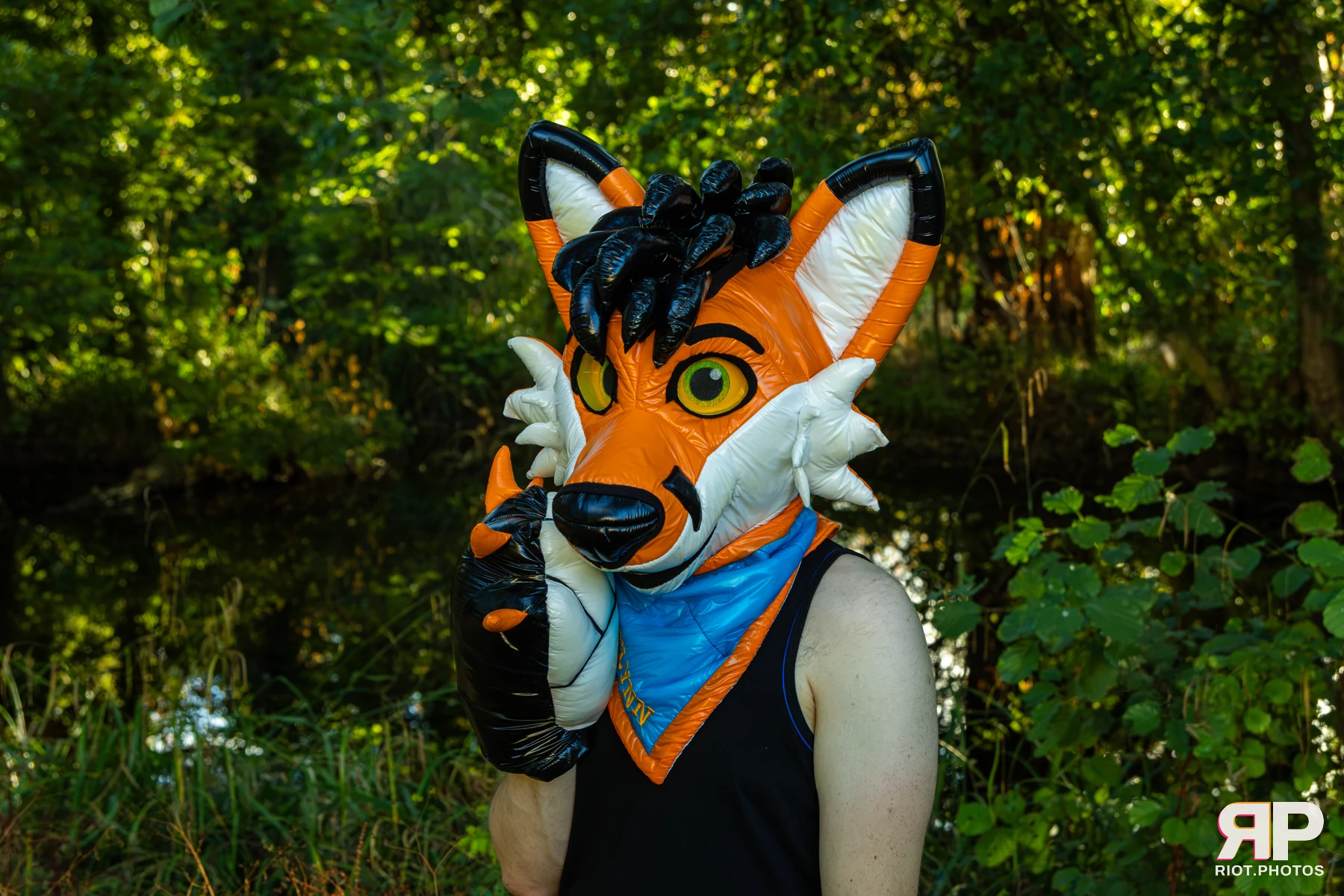 Flynn - furry & pup photography by Fluffy Riot - photo 7