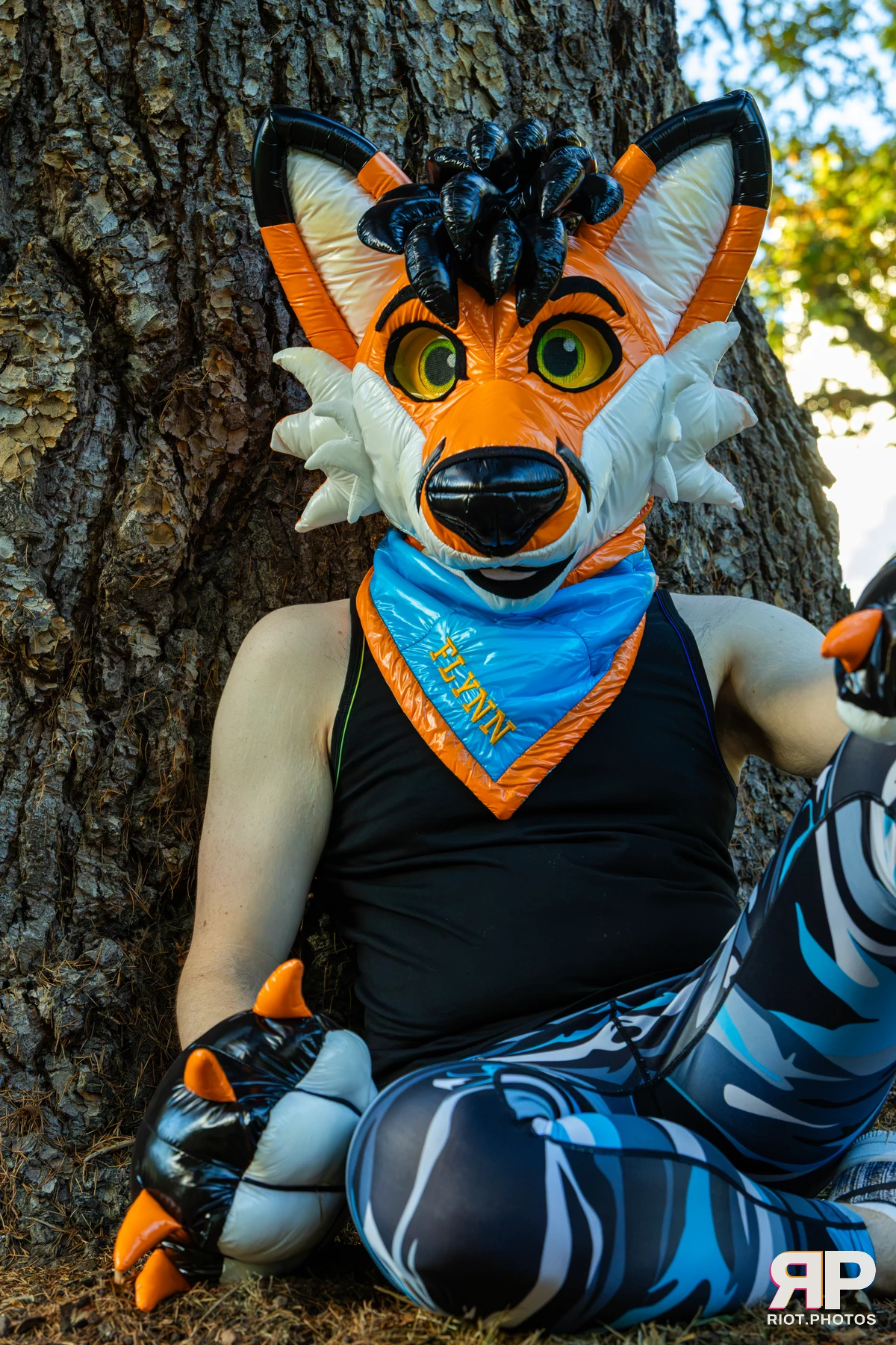 Flynn - furry & pup photography by Fluffy Riot - photo 2