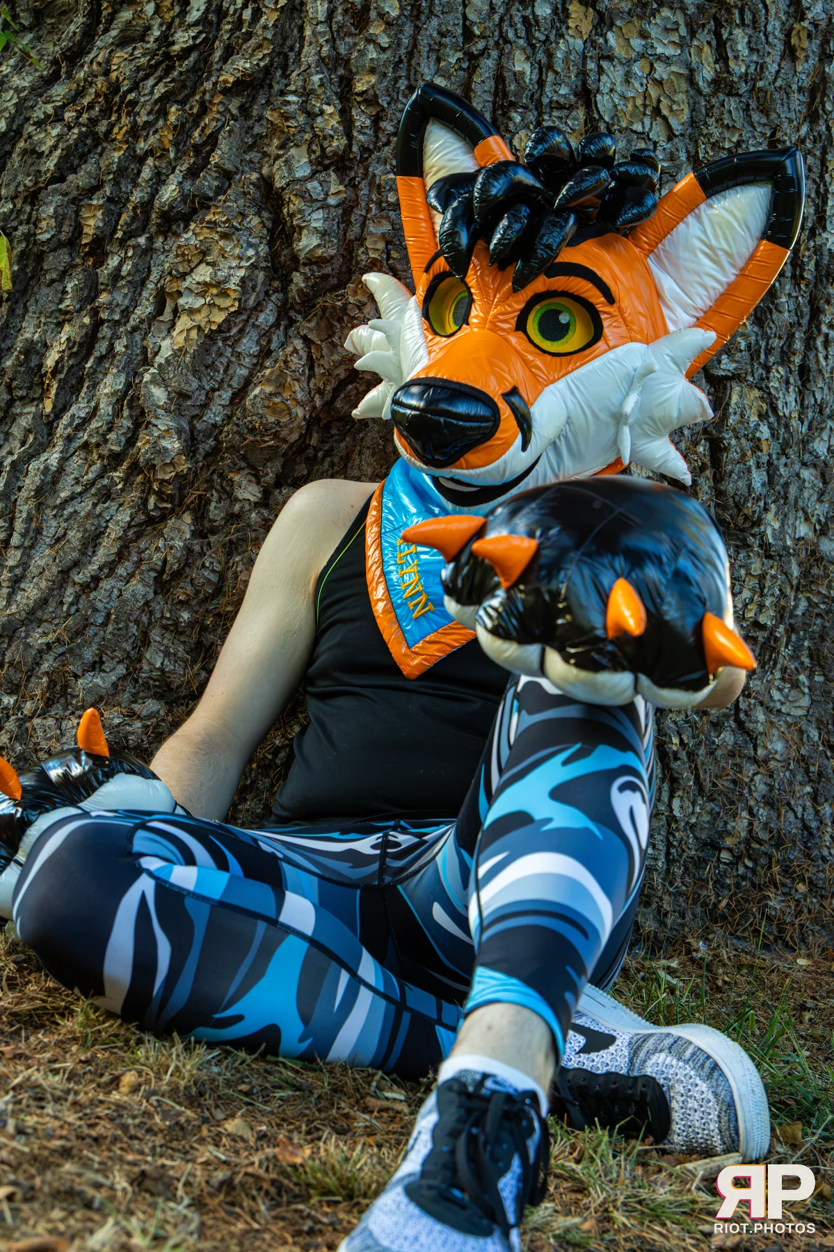 Flynn - furry & pup photography by Fluffy Riot - photo 1