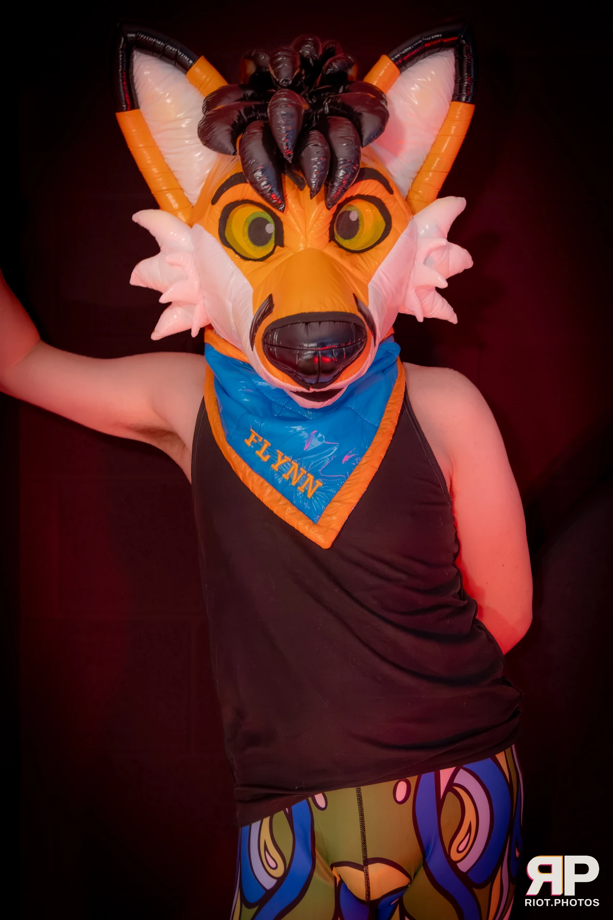 Doggy Weekend 2026 - 18 Oct 2026, Fluffy Riot photography - photo 538