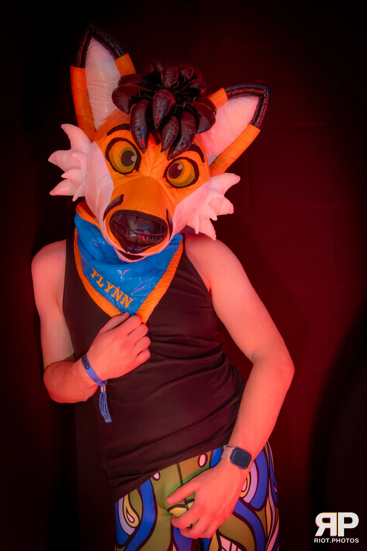 Doggy Weekend 2026 - 18 Oct 2026, Fluffy Riot photography - photo 536