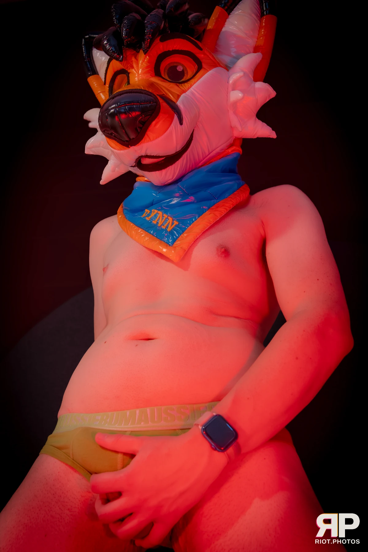 Doggy Weekend 2026 - 18 Oct 2026, Fluffy Riot photography - photo 532