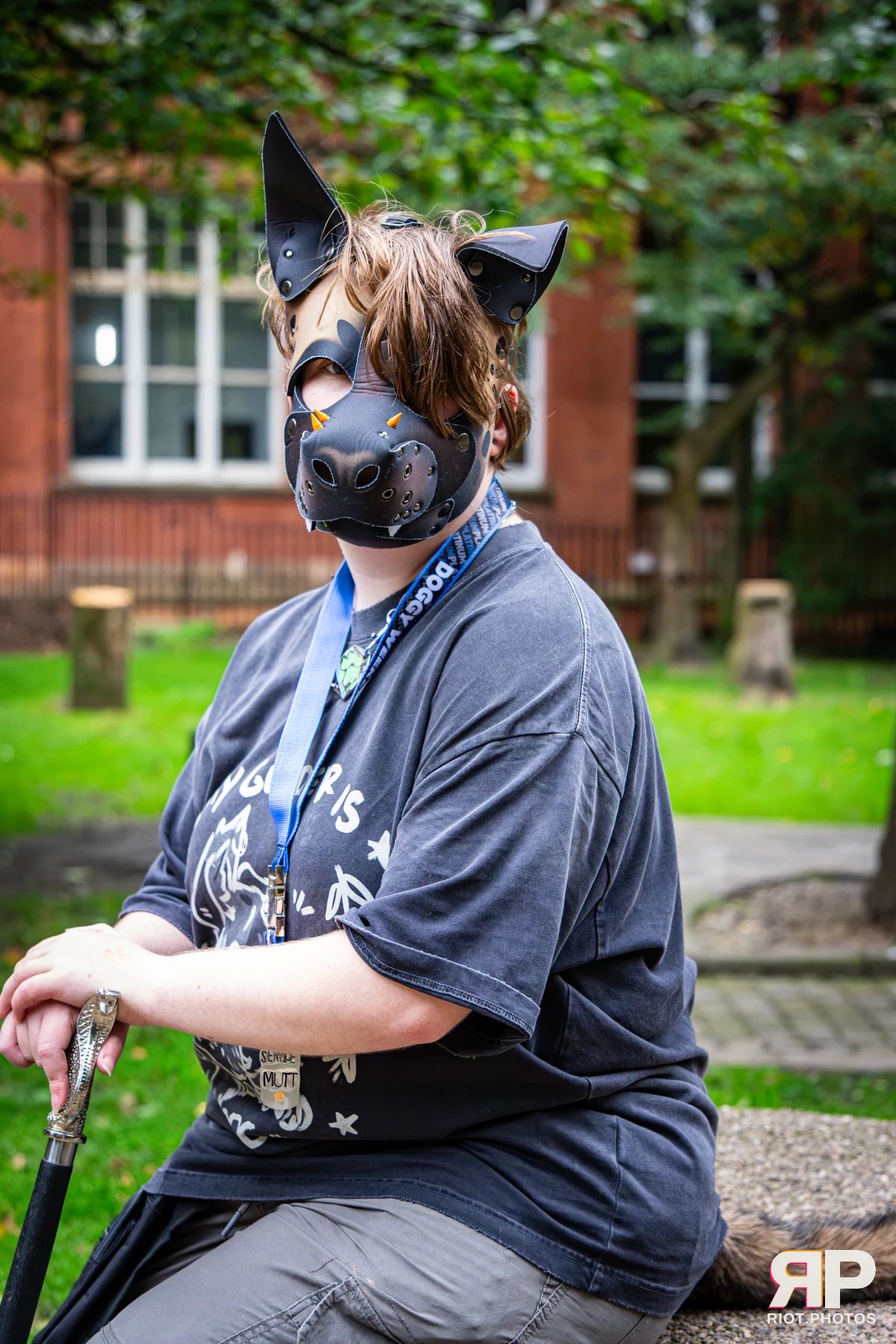 Doggy Weekend 2026 - 18 Oct 2026, Fluffy Riot photography - photo 724