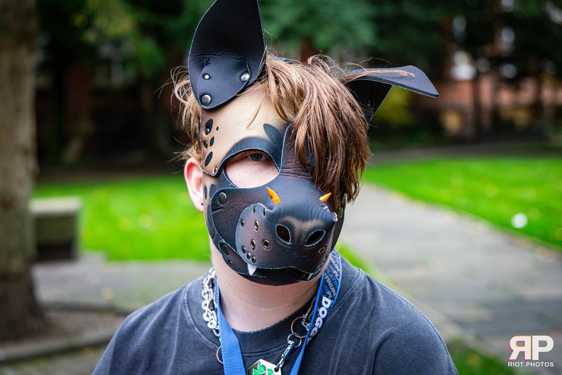 Doggy Weekend 2026 - 18 Oct 2026, Fluffy Riot photography - photo 721
