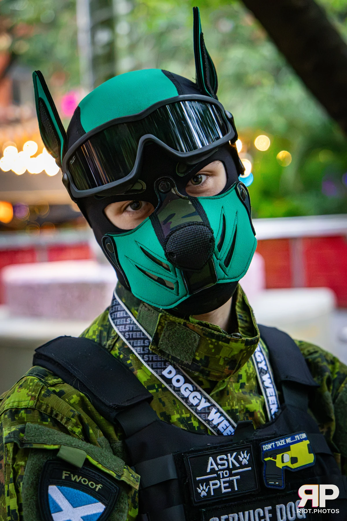 Doggy Weekend 2026 - 18 Oct 2026, Fluffy Riot photography - photo 713