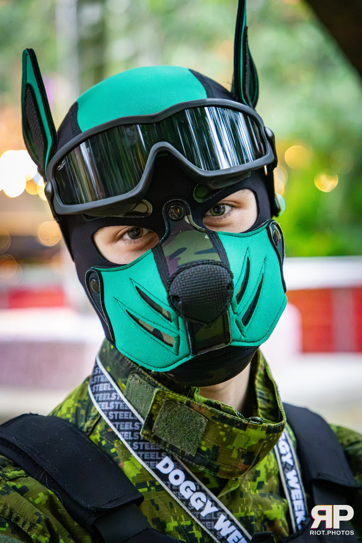 Doggy Weekend 2026 - 18 Oct 2026, Fluffy Riot photography - photo 712