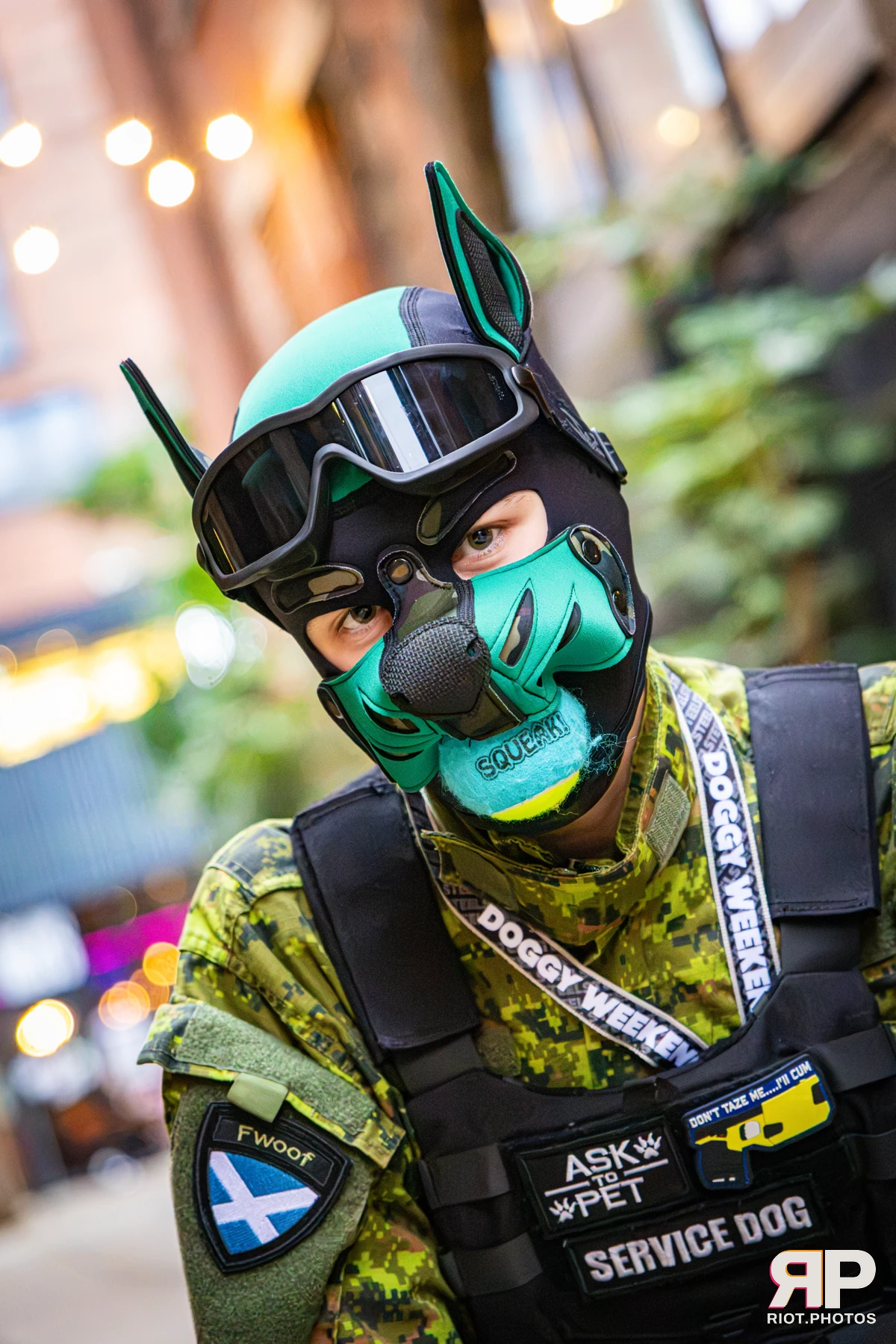 Doggy Weekend 2026 - 18 Oct 2026, Fluffy Riot photography - photo 708