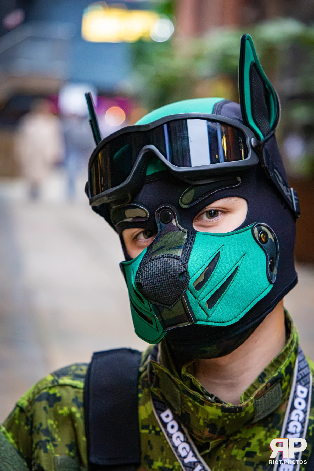 Doggy Weekend 2026 - 18 Oct 2026, Fluffy Riot photography - photo 705