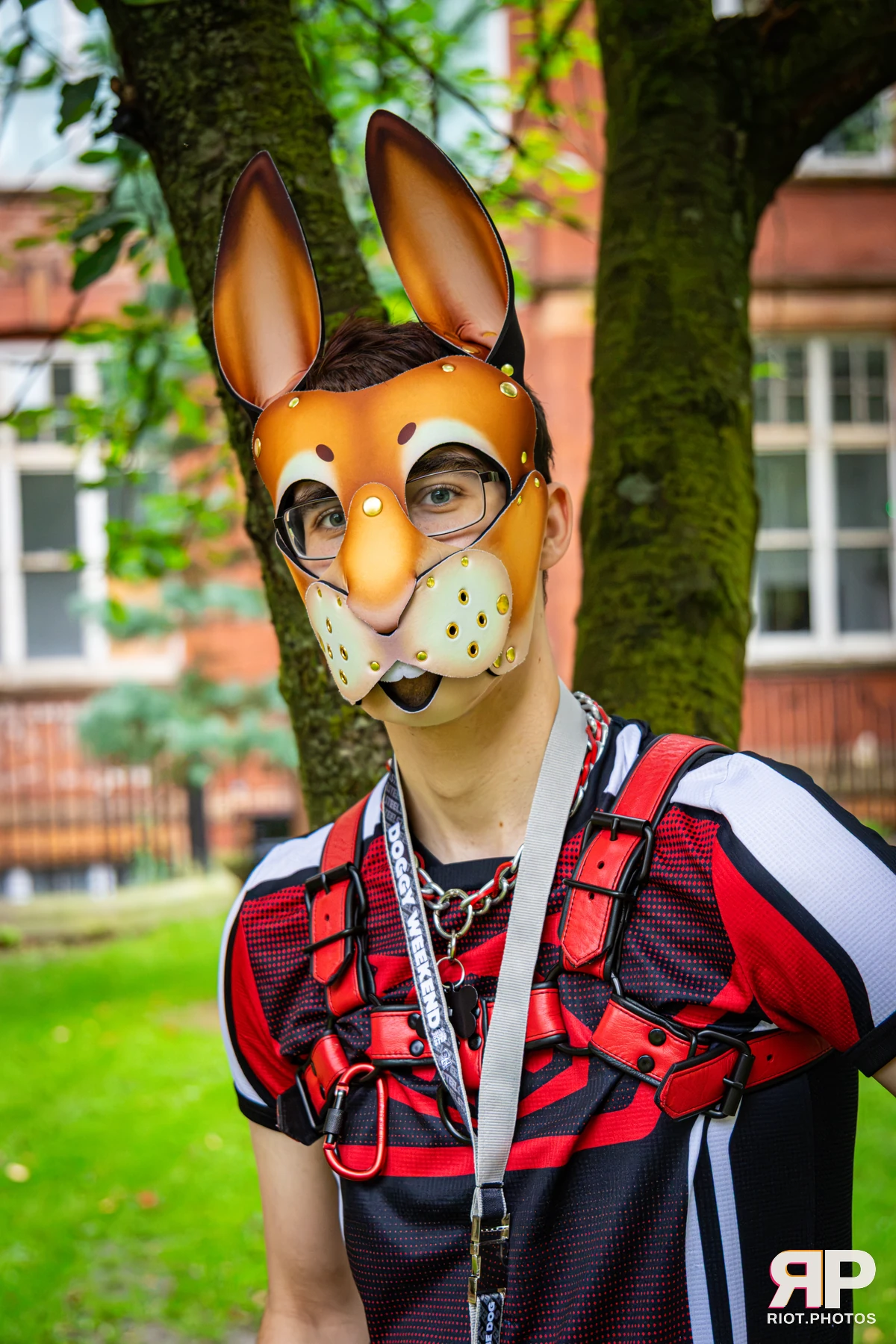 Doggy Weekend 2026 - 18 Oct 2026, Fluffy Riot photography - photo 695