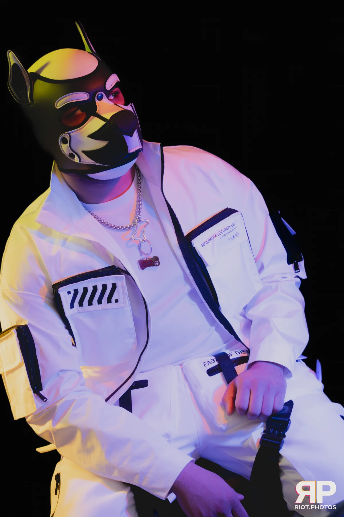 Guilty — furry & pup photography by Fluffy Riot — photo 13
