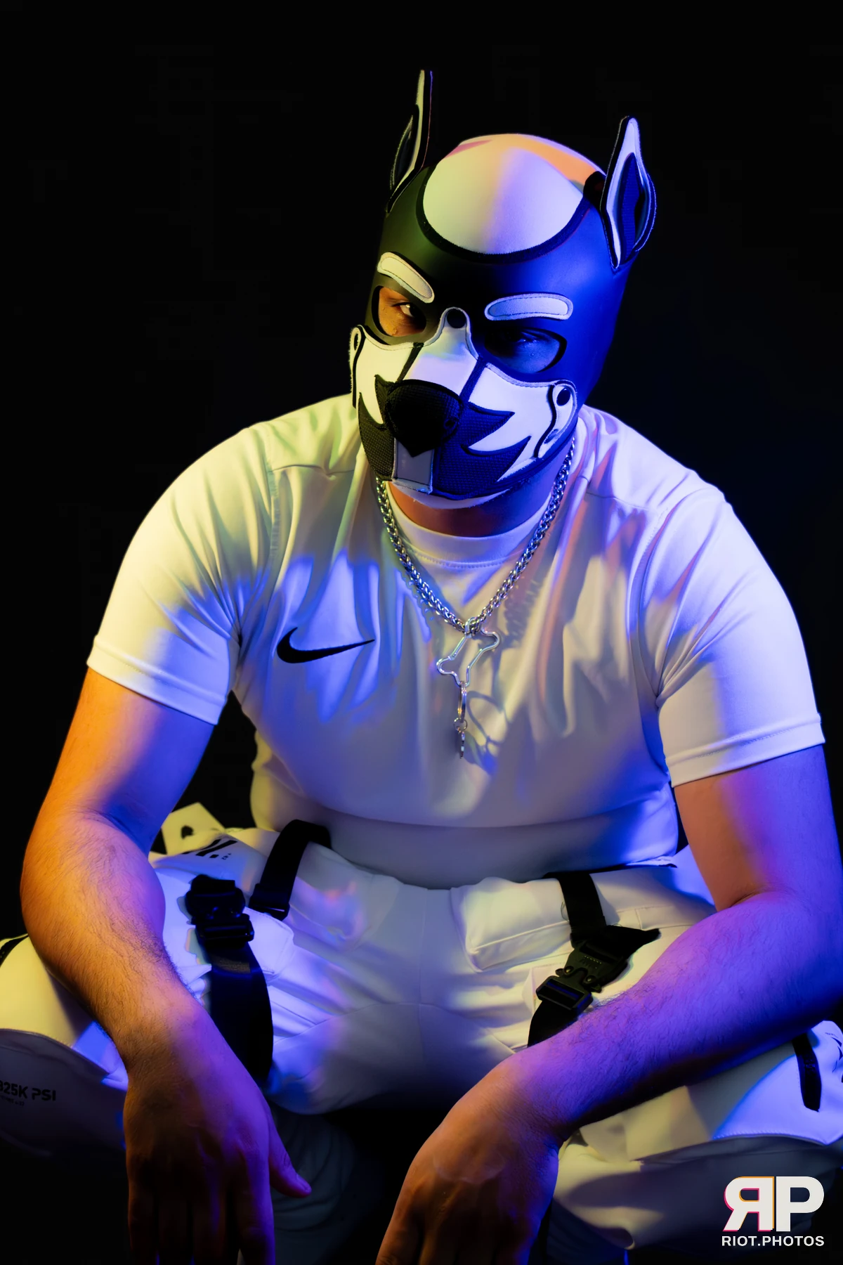 Guilty — furry & pup photography by Fluffy Riot — photo 16