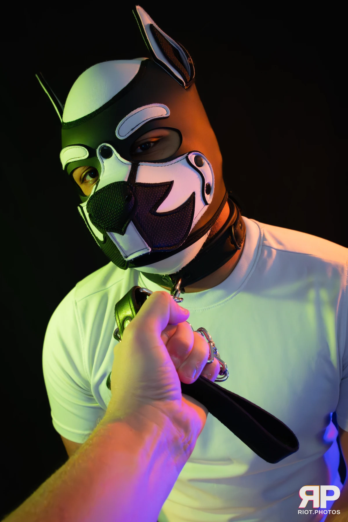 Guilty — furry & pup photography by Fluffy Riot — photo 21