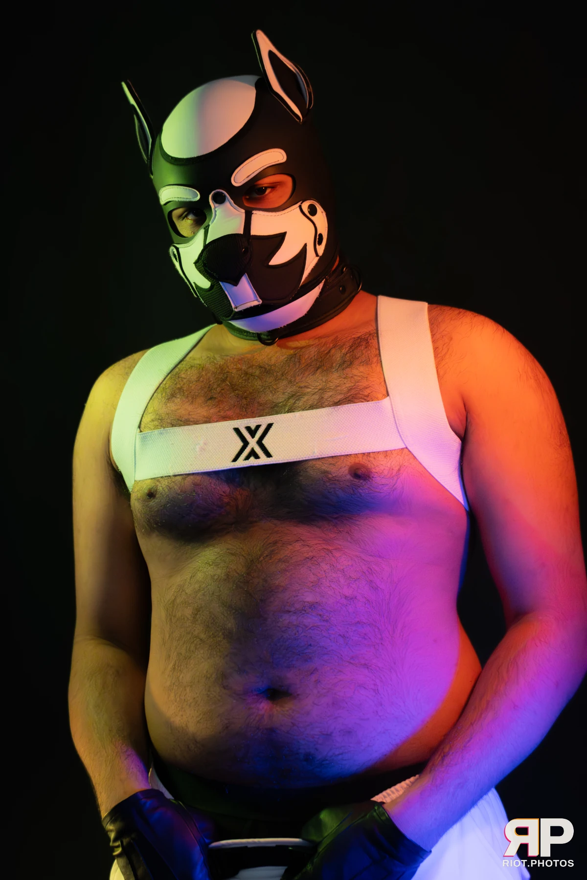 Guilty — furry & pup photography by Fluffy Riot — photo 25