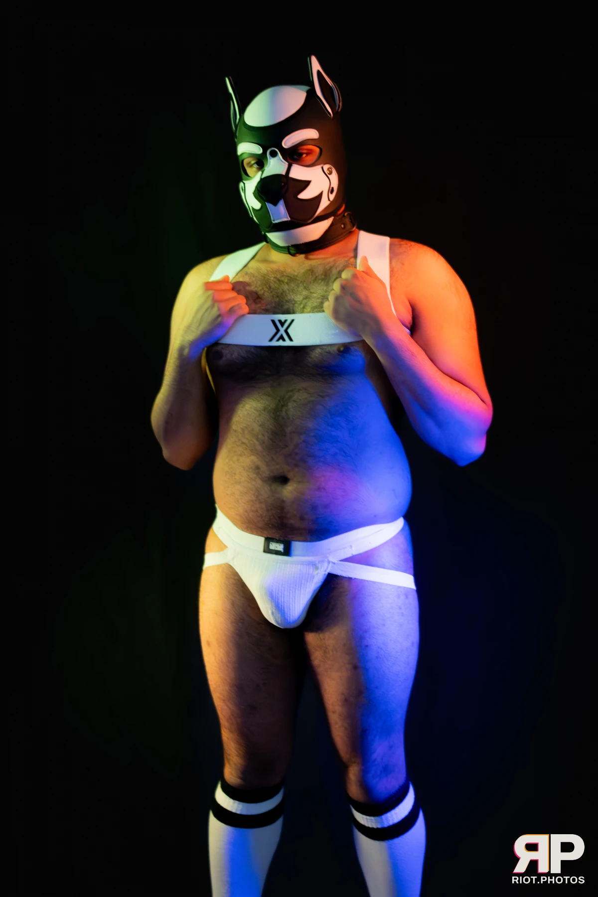 Guilty — furry & pup photography by Fluffy Riot — photo 27
