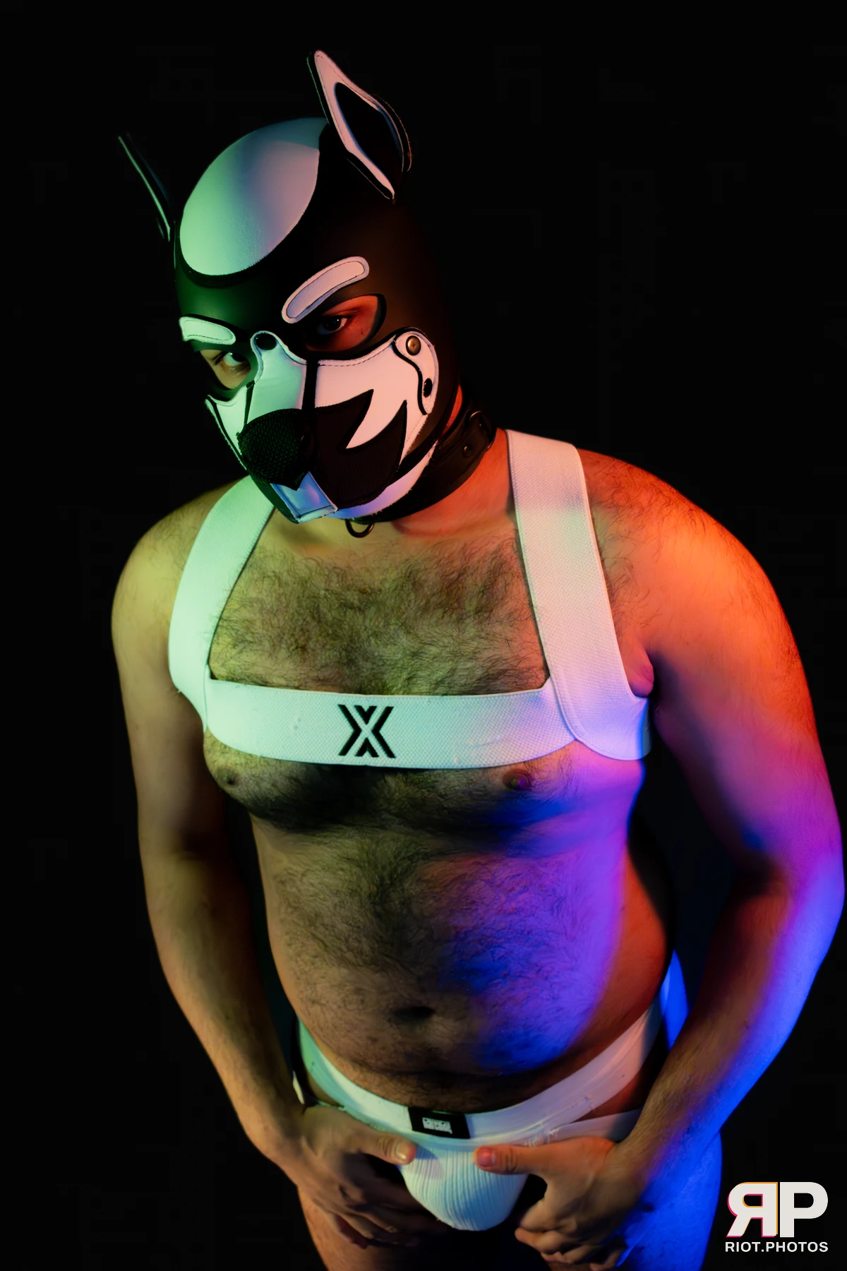 Guilty — furry & pup photography by Fluffy Riot — photo 30
