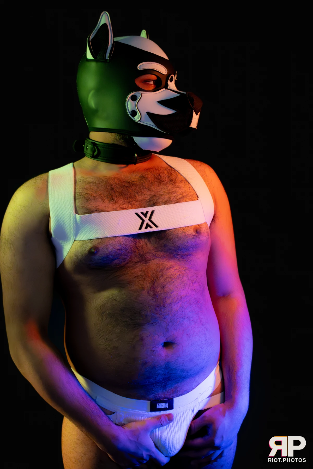 Guilty — furry & pup photography by Fluffy Riot — photo 31