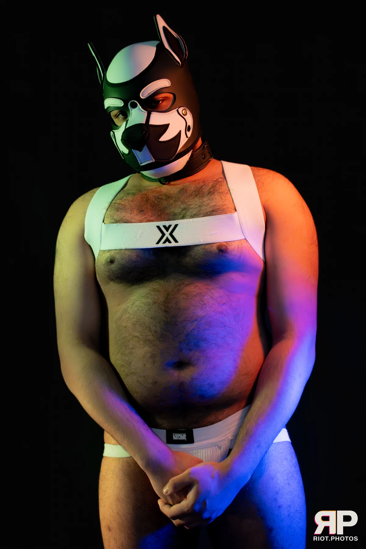 Guilty — furry & pup photography by Fluffy Riot — photo 32