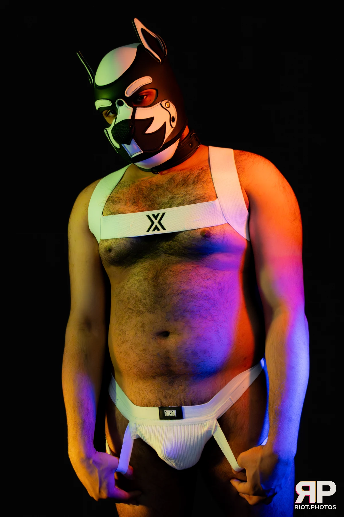 Guilty — furry & pup photography by Fluffy Riot — photo 37
