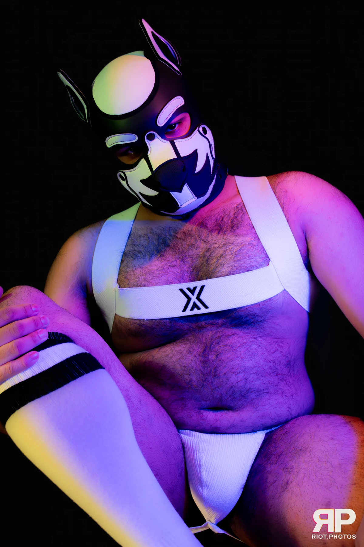 Guilty — furry & pup photography by Fluffy Riot — photo 41