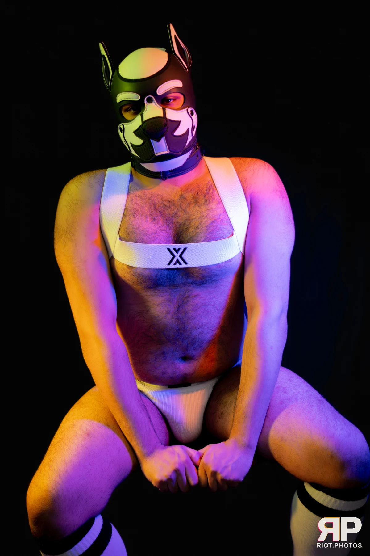 Guilty — furry & pup photography by Fluffy Riot — photo 43