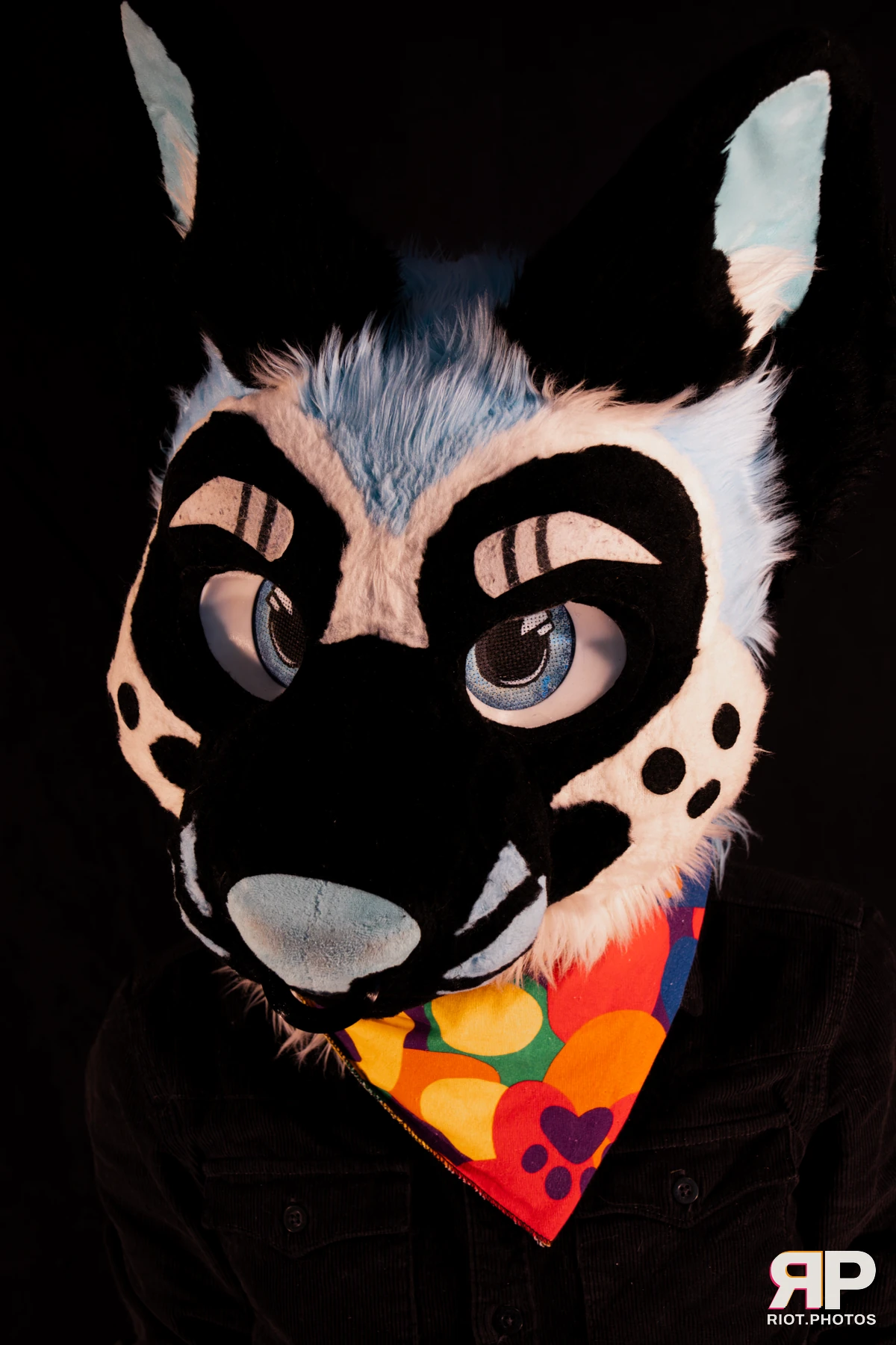 Hagen Hyena — furry & pup photography by Fluffy Riot — photo 11