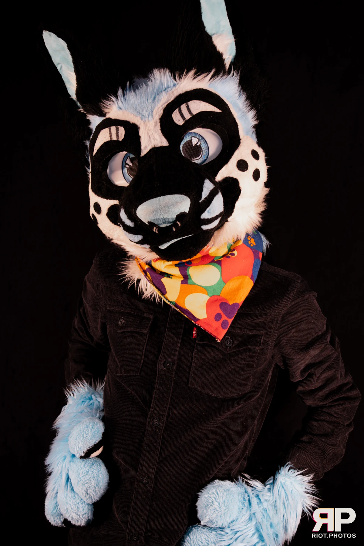 Hagen Hyena — furry & pup photography by Fluffy Riot — photo 12