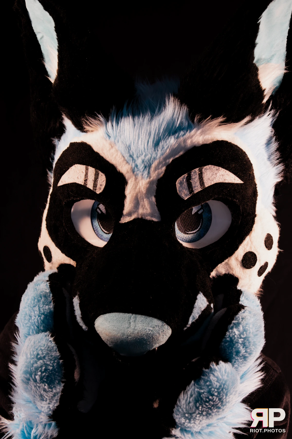 Hagen Hyena — furry & pup photography by Fluffy Riot — photo 14