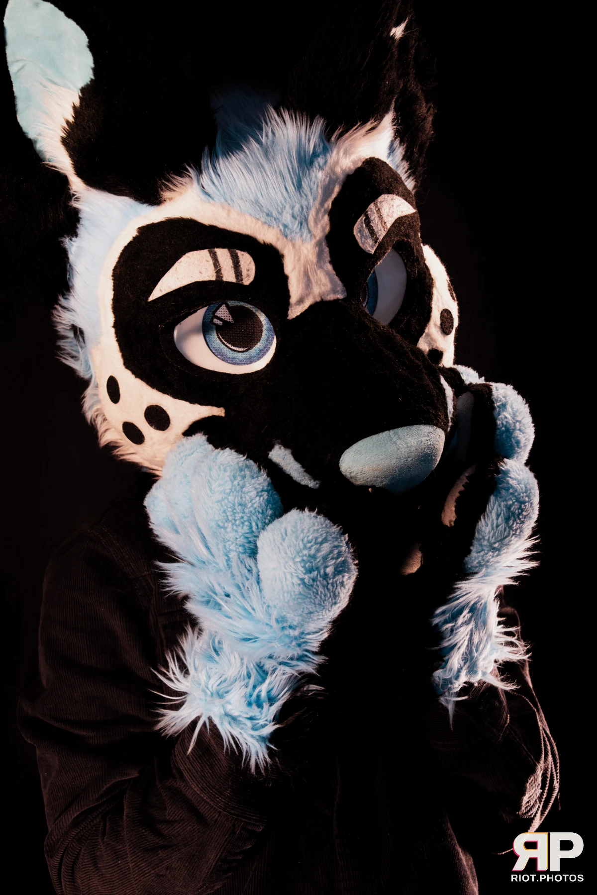 Hagen Hyena — furry & pup photography by Fluffy Riot — photo 15