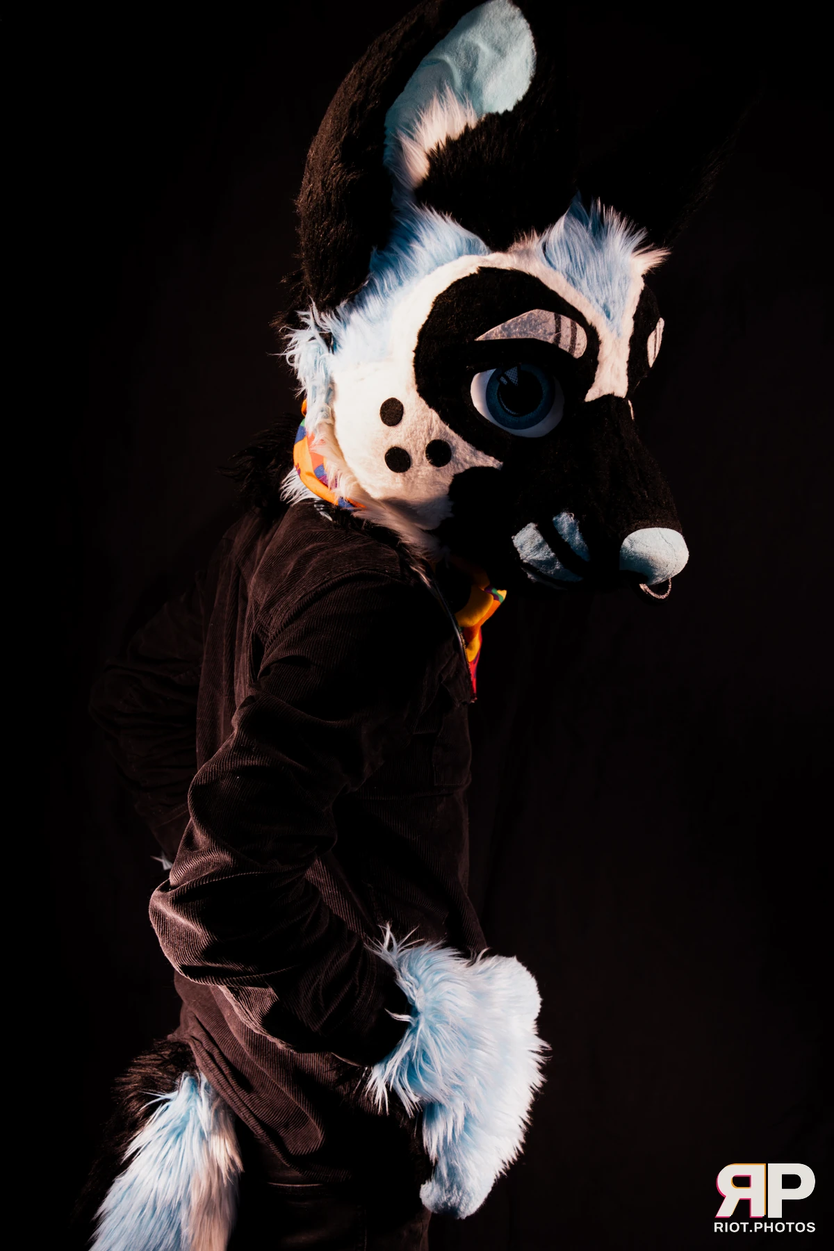 Hagen Hyena — furry & pup photography by Fluffy Riot — photo 17