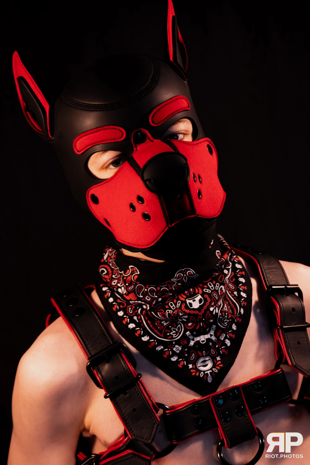 Hagen Hyena — furry & pup photography by Fluffy Riot — photo 19