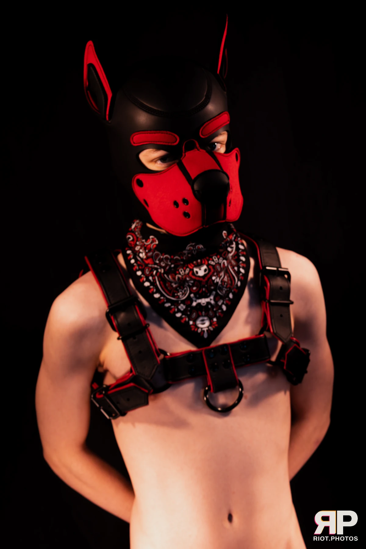 Hagen Hyena — furry & pup photography by Fluffy Riot — photo 20