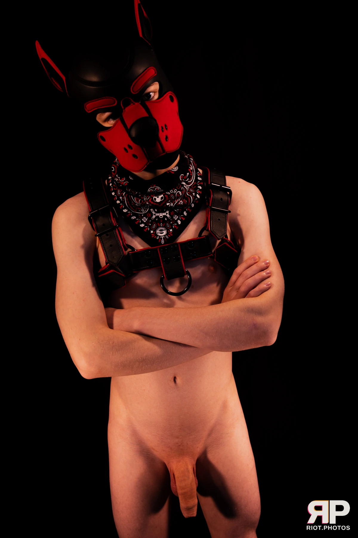 Hagen Hyena — furry & pup photography by Fluffy Riot — photo 27