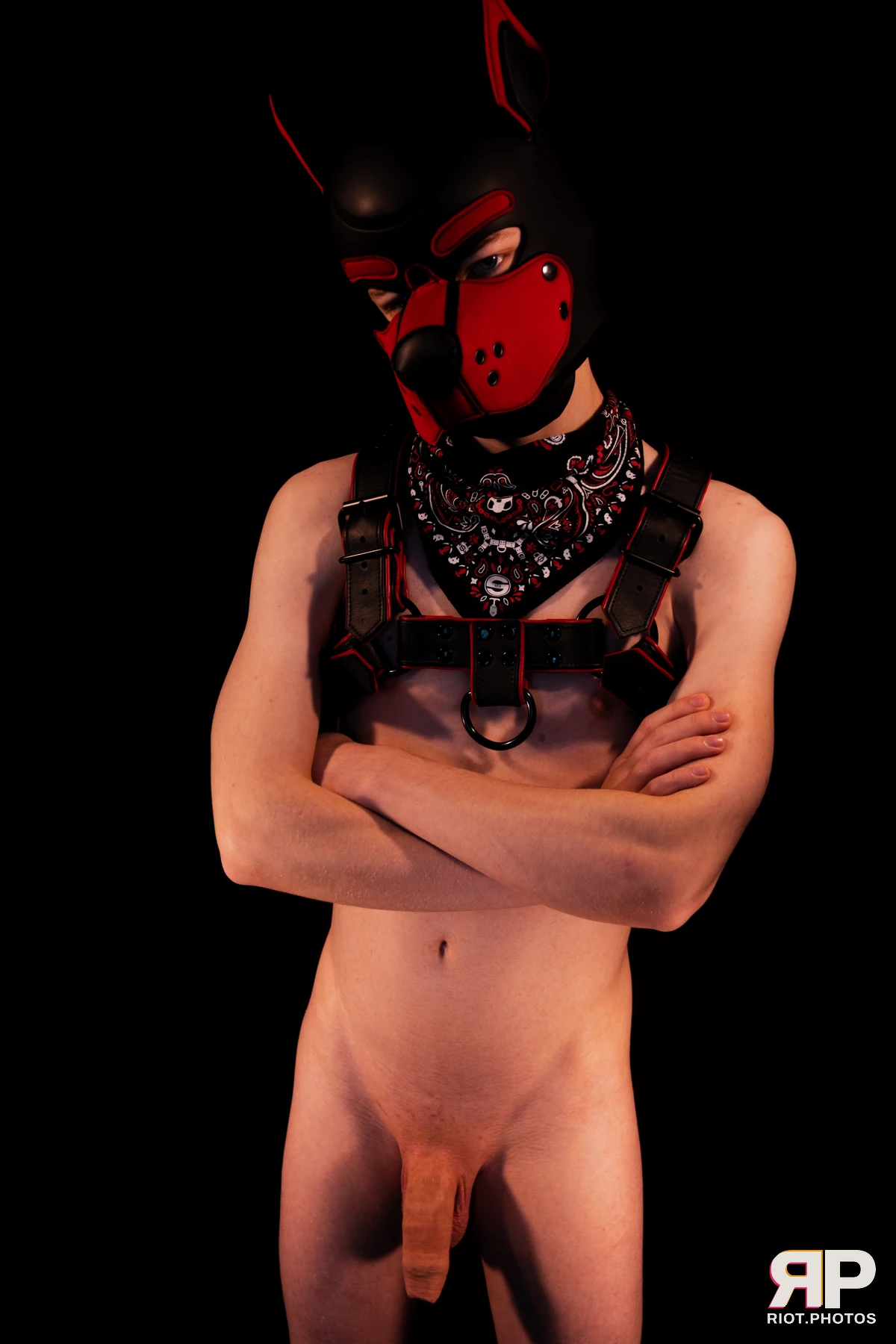 Hagen Hyena — furry & pup photography by Fluffy Riot — photo 28