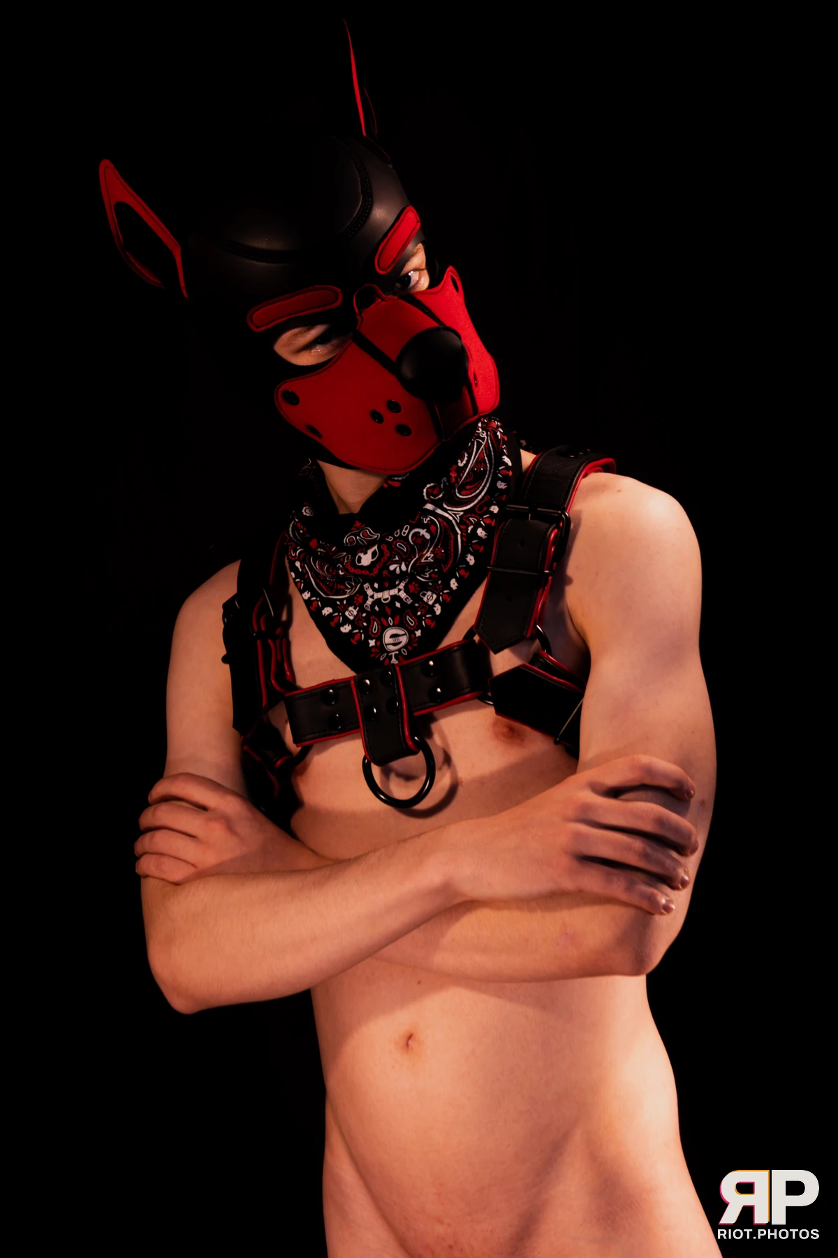 Hagen Hyena — furry & pup photography by Fluffy Riot — photo 30