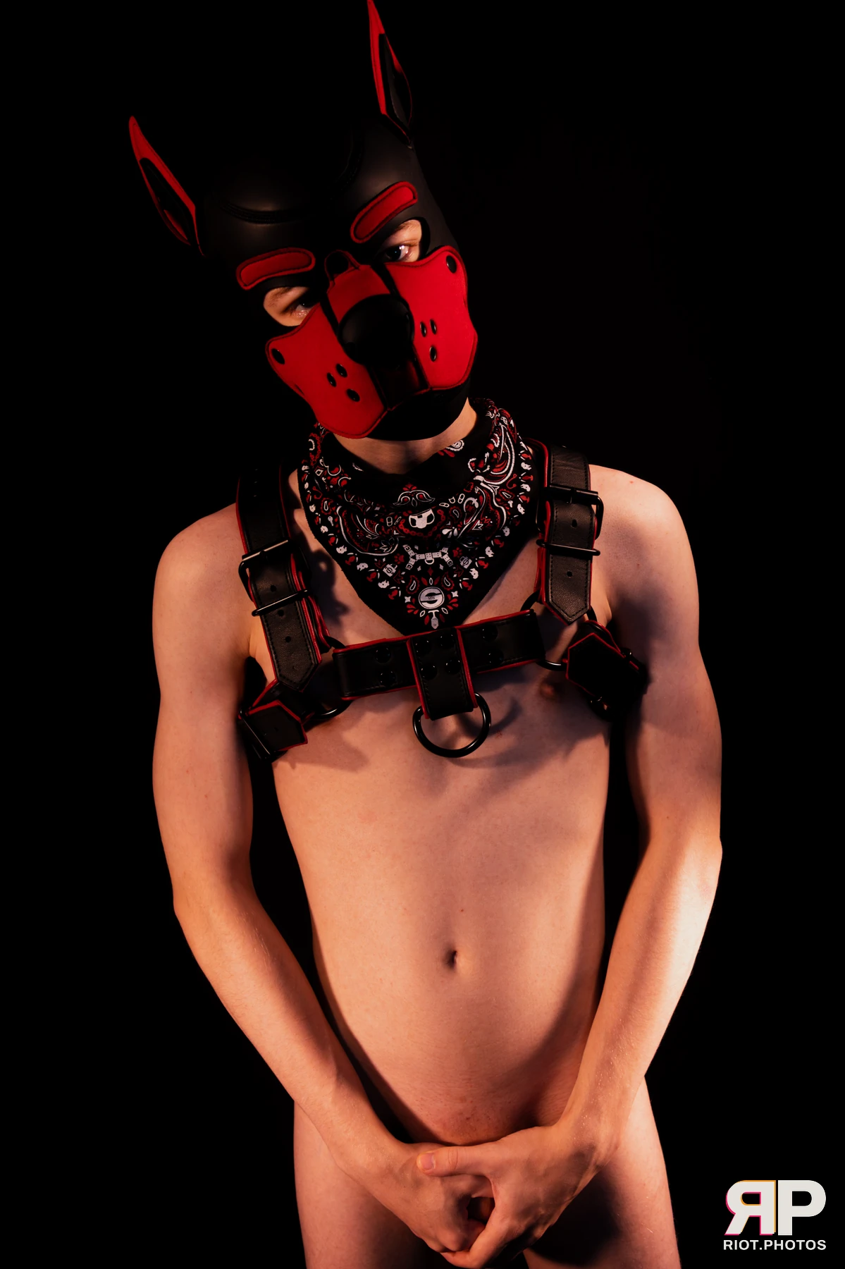 Hagen Hyena — furry & pup photography by Fluffy Riot — photo 35