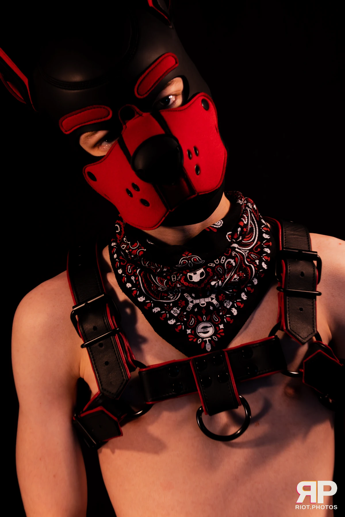 Hagen Hyena — furry & pup photography by Fluffy Riot — photo 36