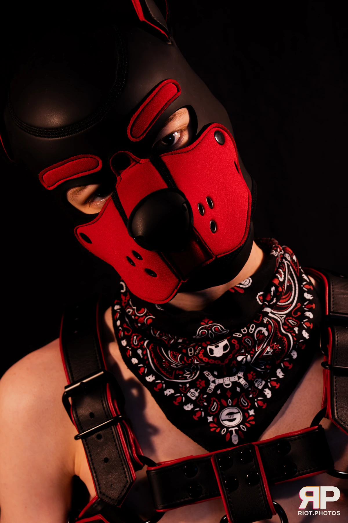 Hagen Hyena — furry & pup photography by Fluffy Riot — photo 38