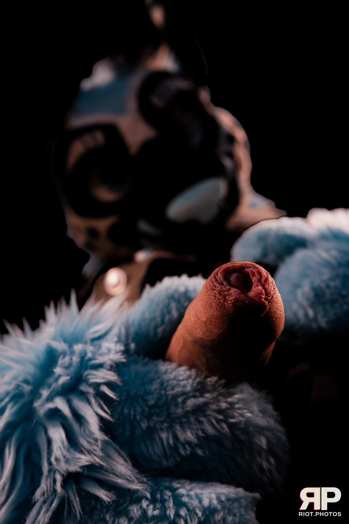 Hagen Hyena — furry & pup photography by Fluffy Riot — photo 53