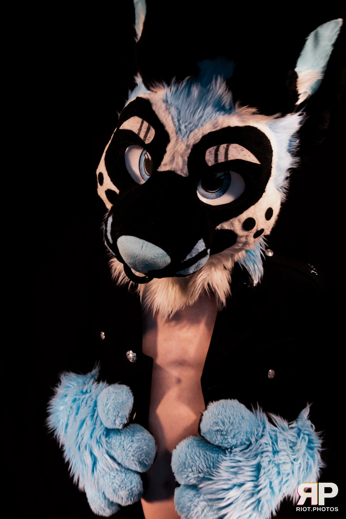 Hagen Hyena — furry & pup photography by Fluffy Riot — photo 61