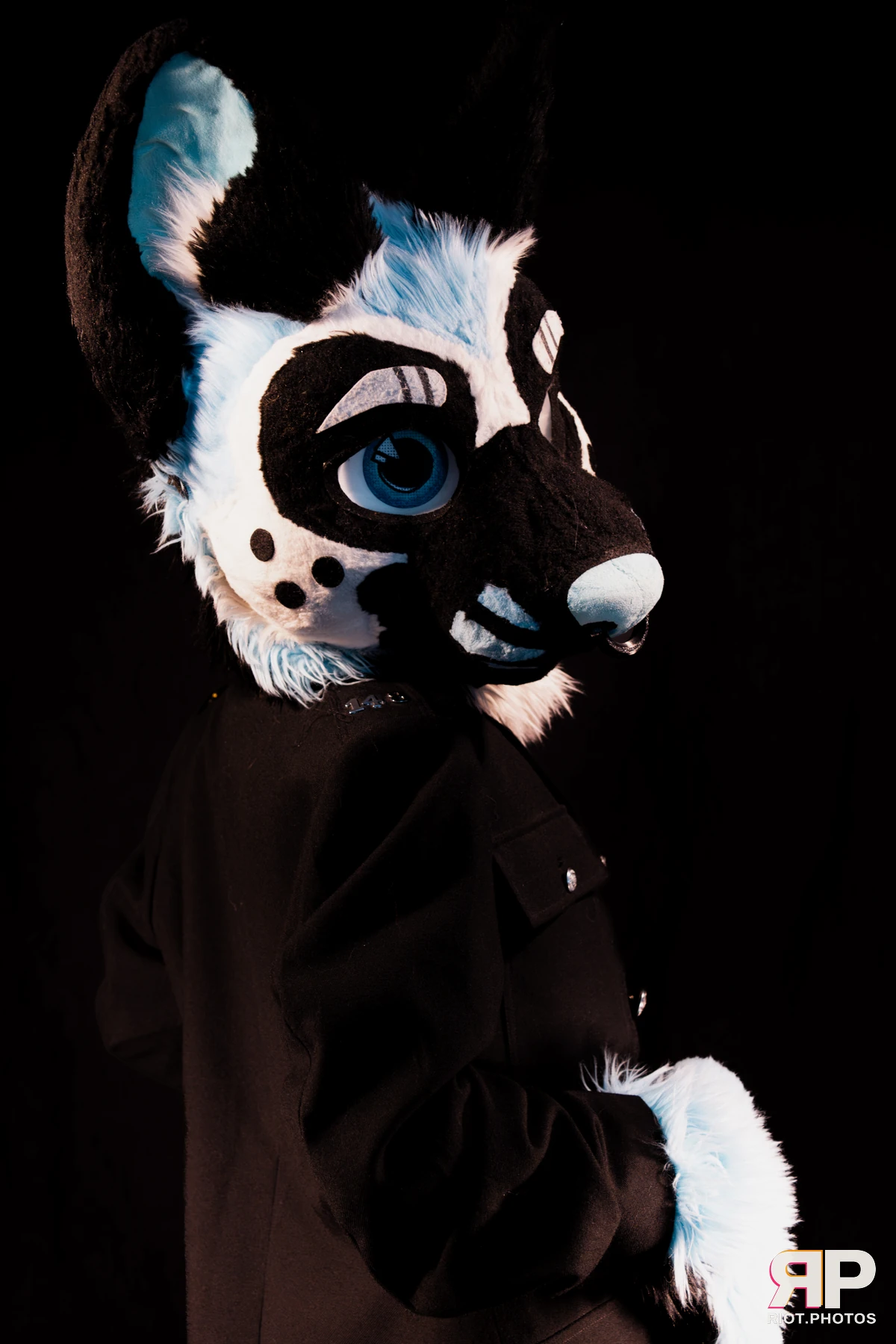 Hagen Hyena — furry & pup photography by Fluffy Riot — photo 63