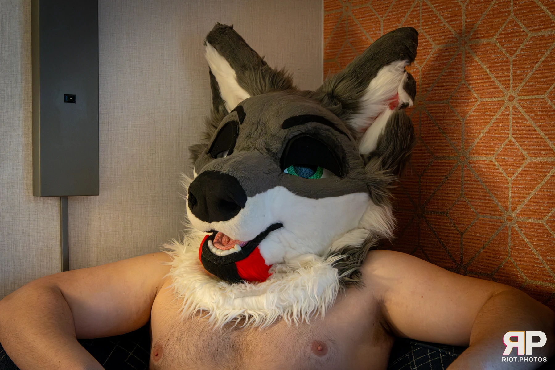 Homanu - furry & pup photography by Fluffy Riot - photo 30