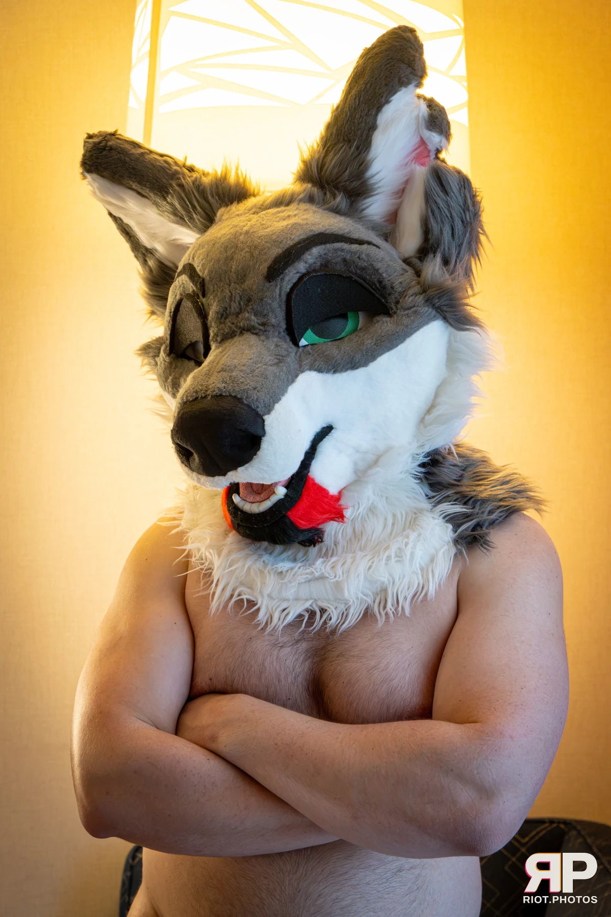 Homanu - furry & pup photography by Fluffy Riot - photo 11