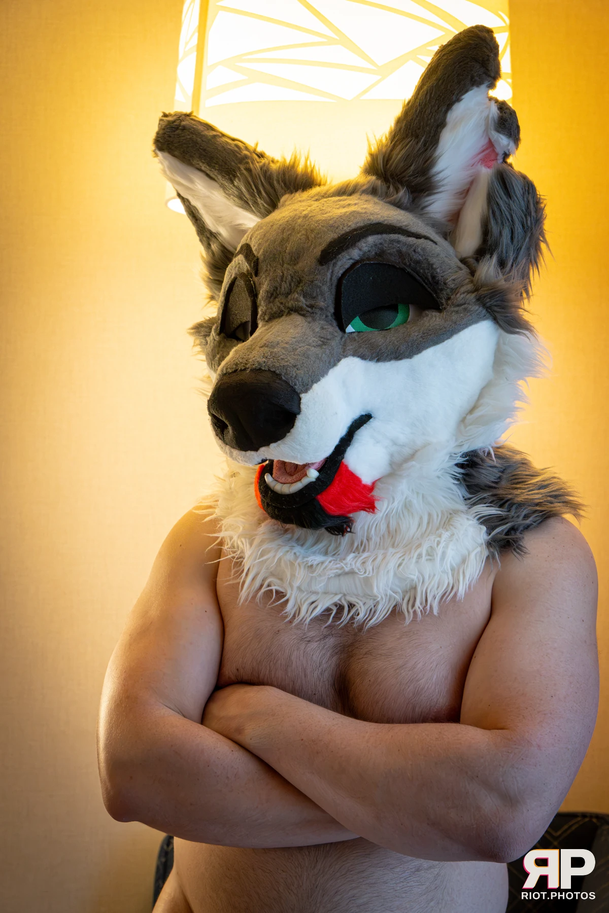 Homanu - furry & pup photography by Fluffy Riot - photo 10